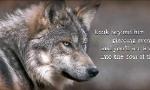 Wolf adoption page! :-)