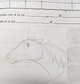 horse doodle from memory