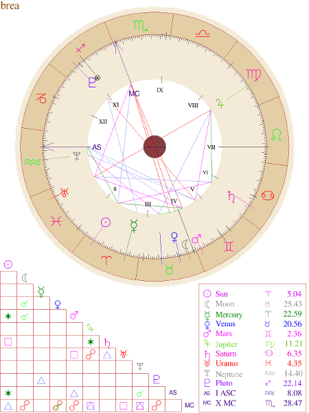 <c:out value='here is my birth chart'/>