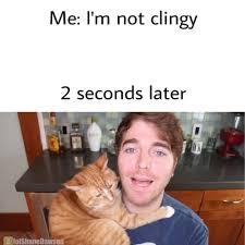 Shane Dawson's Photo