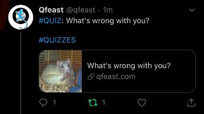 Qfeast Questions & Answers's Photo