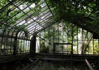 abandoned greenhouses because aesthetic's Photo