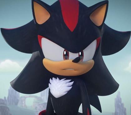 Sonic the Hedgehog's Photo