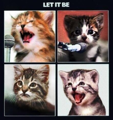 <c:out value='the beatles have become cats i cannot believe this'/>