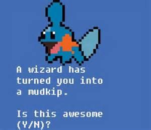 Mudkipz Fan Page's Photo