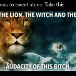 the lion the witch and the audacity of this bitch