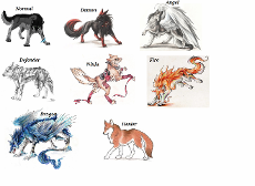 Ivy's Wolf Forms