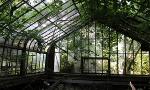 abandoned greenhouses because aesthetic