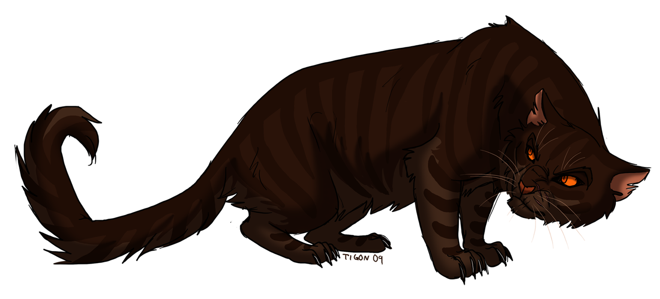Debate about Warrior cats. Debate about Warrior cats.