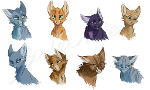 Warrior cats page! Art, fan fiction, drawings, and anything to do with warriors