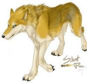 Rydian,wolf form