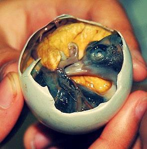 <c:out value='Never eat Balut... (It's a duck embryo, in case you wanted to know....)'/>