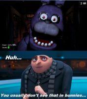 Five nights at Freddy's memes's Photo