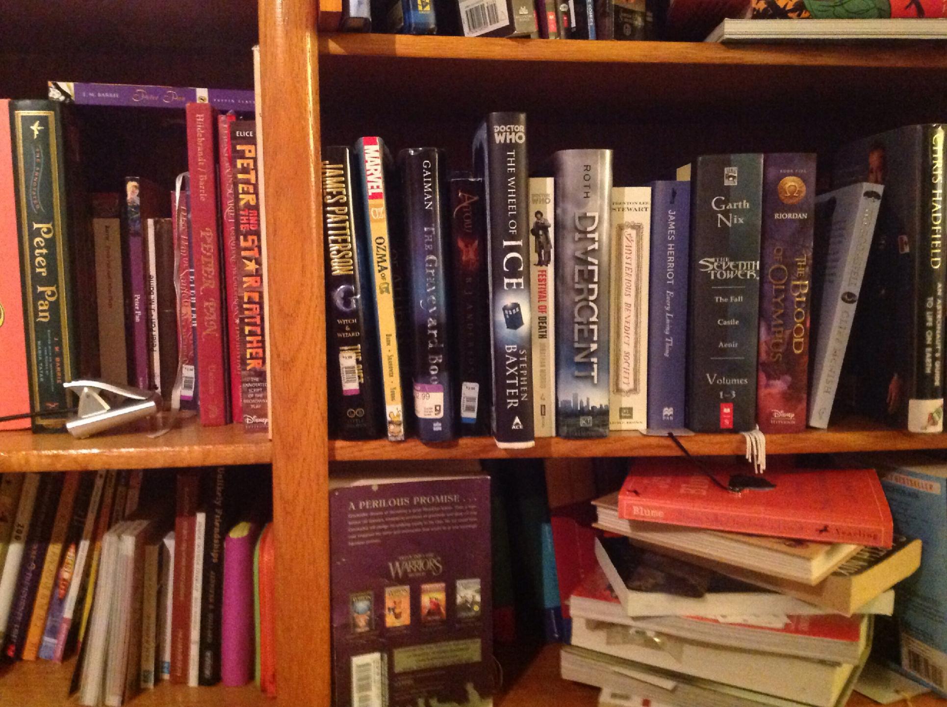Shelfies Shelfies