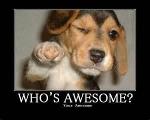 are you awesome? (1)
