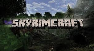 Which game do you like more: Skyrim or Minecraft?