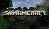 Which game do you like more: Skyrim or Minecraft?