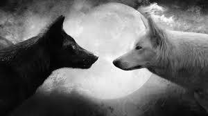 Black or white? Black or white?