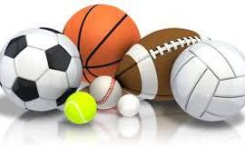 Which sport do you like the most?