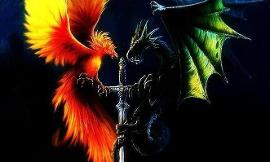 would you rather be a phoenix or a dragon?