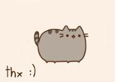 Which Pusheen Cat do you likie more?
