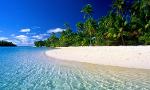 Stranded FOREVER on a deserted island, what would you prefer? Without the possibility to change afterwards