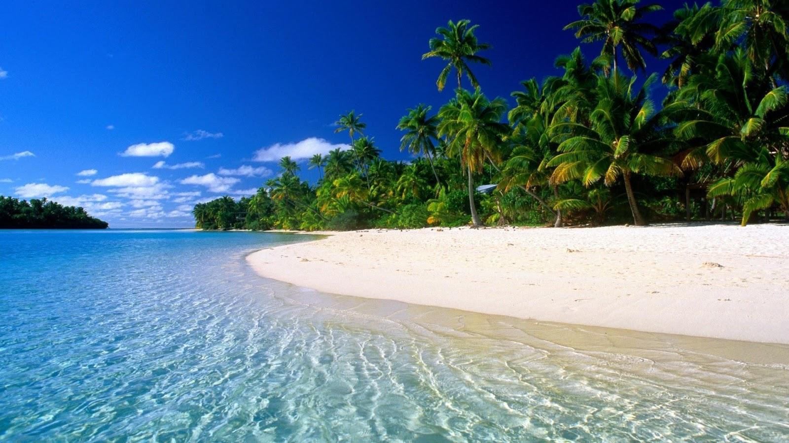 Stranded FOREVER on a deserted island, what would you prefer? Without the possibility to change afterwards Stranded FOREVER on a deserted island, what would you prefer? Without the possibility to change afterwards