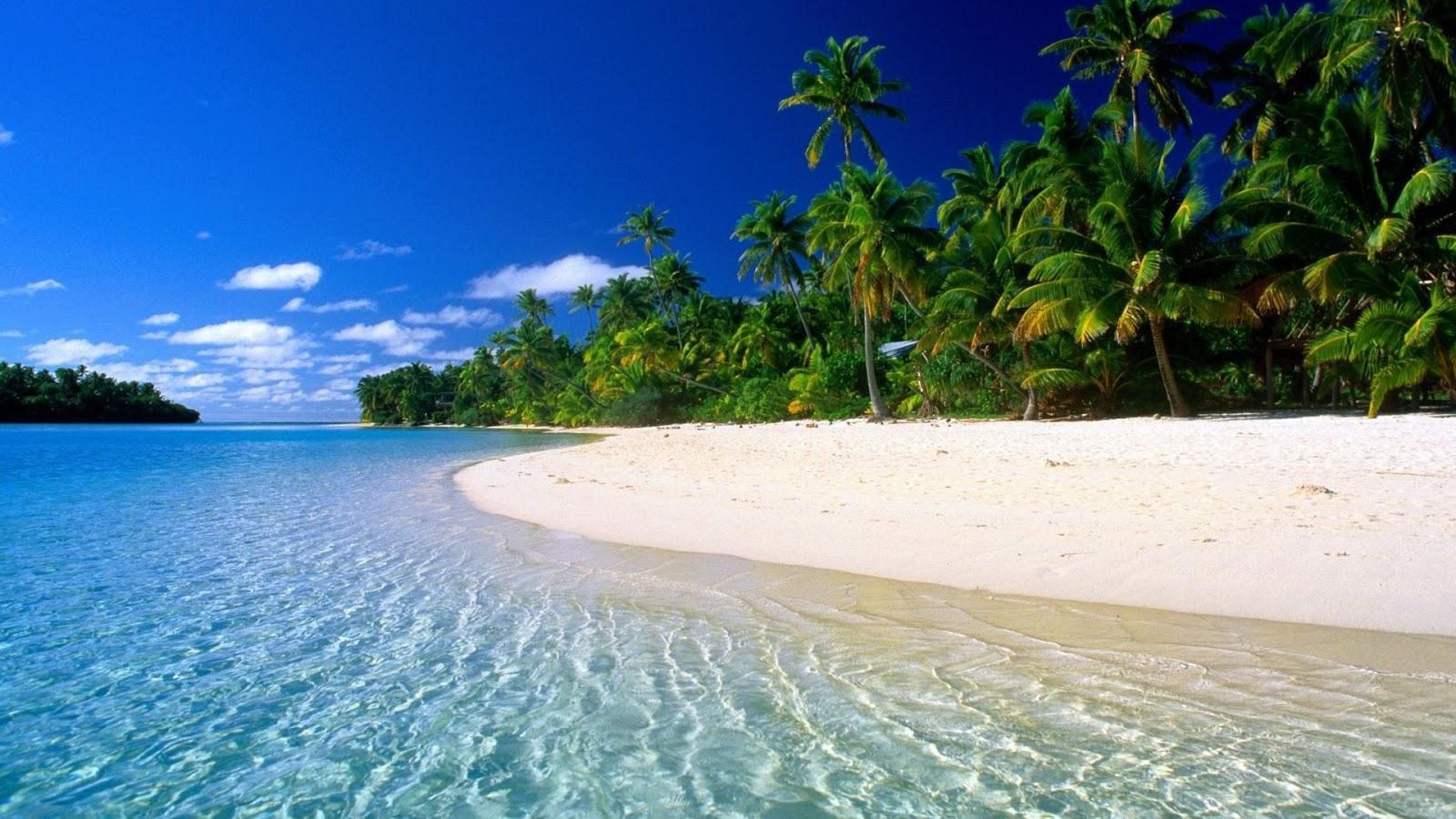 Stranded FOREVER on a deserted island, what would you prefer? Without the possibility to change afterwards