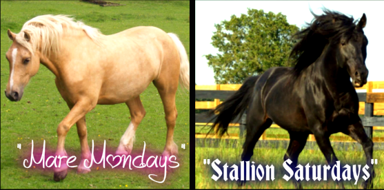 Will you Join my Page "LIVE CLASSES Topic:Horses" and come to a few classes a week?