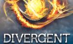 Do you like the Divergent Series? (1)