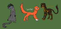 Which TomCat makes the better match for Squirrelflight?