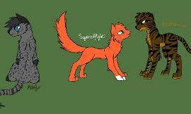 Which TomCat makes the better match for Squirrelflight?
