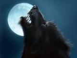 Werewolves or vampires?