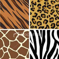 Leopard or zebra print? Leopard or zebra print?