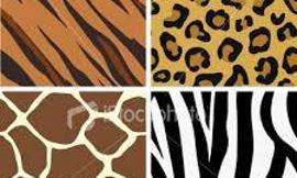 Leopard or zebra print?