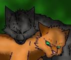 Should Squirrelflight and Ashfur be together?