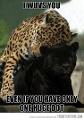 Funny? Leopard? (7)