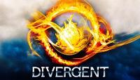 Do you like the divergent series?
