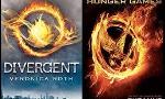 What's a better Divergent/hunger games picture?