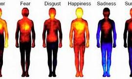 What are you feeling rn?
