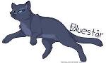did bluestar deserve to be ALMOST killed by tigerclaw