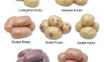 Favorite Type of Potato