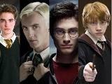 Who is your favorite Harry Potter guy character?