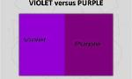 Do you say "purple" or "violet"?