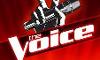 If You were a singer trying out on The Voice and all judges turned for you ,which judge would you pick?