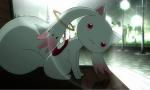 If you could, would you make a contract with Kyubey?