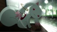 If you could, would you make a contract with Kyubey?