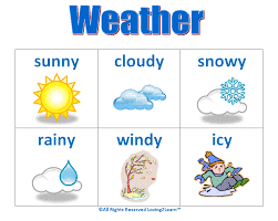 Whats your favorite weather?