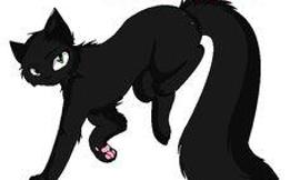 Do you like Hollyleaf in pony or cat form?