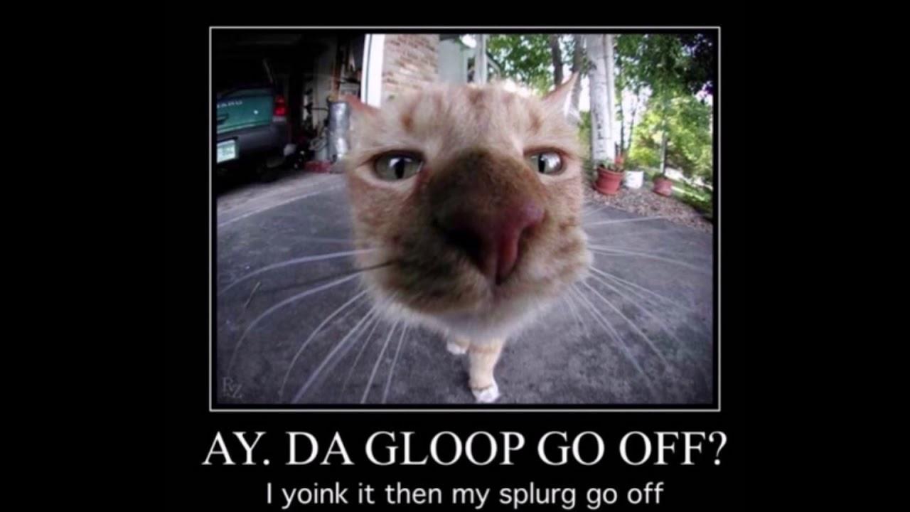 ay da gloop go off? ay da gloop go off?